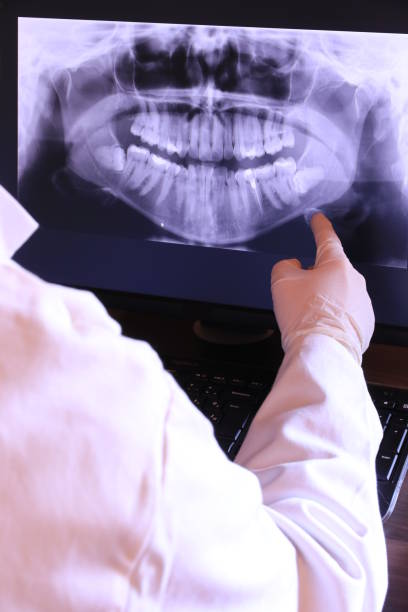 Best Emergency X-Rays and Diagnostics in Mahomet, IL